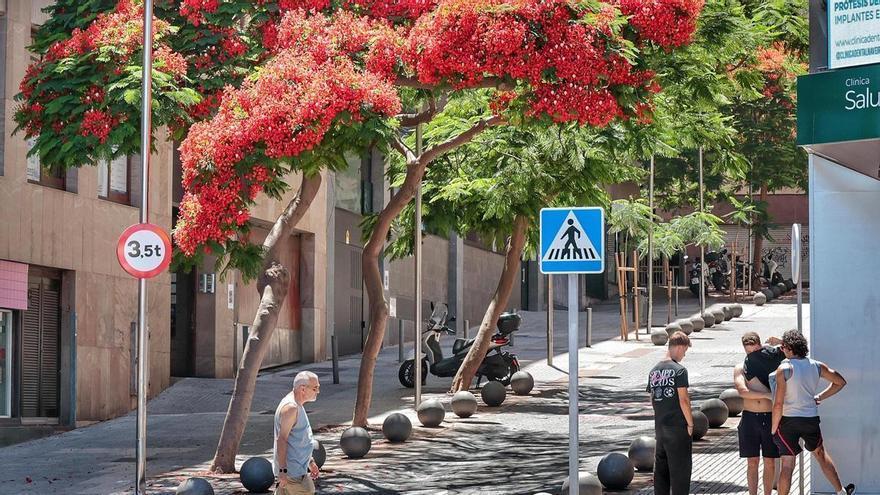 El callejón Bouza de Santa Cruz permanecerá cerrado tres semanas por obras de asfaltado