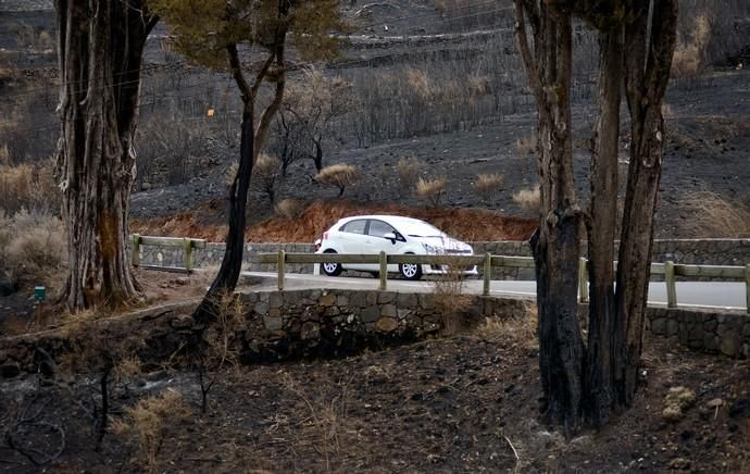 INCENDIO CUMBRE GRAN CANARIA