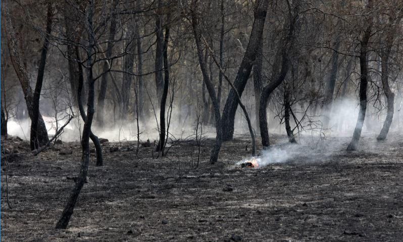 Incendi a Artés