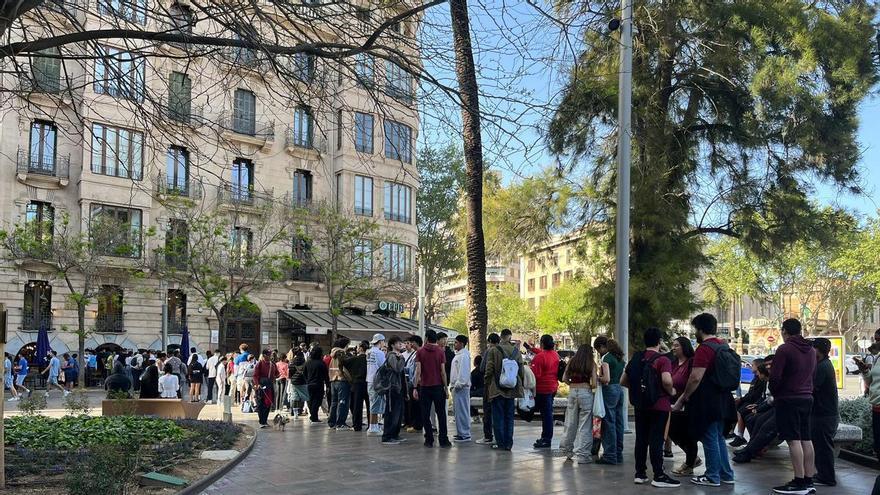 a la locura en Palma: largas colas por un burrito gratis