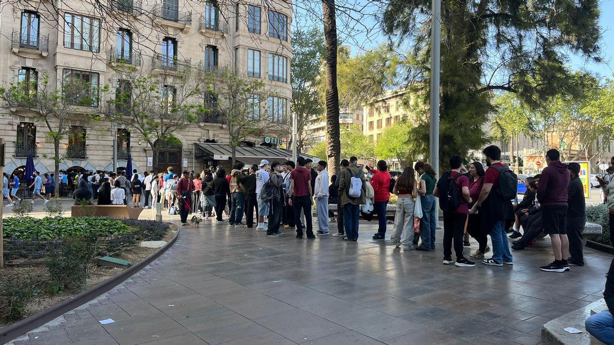 TACO BELL BURRITO GRATIS | Taco Bell desata la locura en Palma: largas colas por un burrito gratis TACO BELL BURRITO GRATIS | Taco Bell desata la locura en Palma: largas colas por un burrito gratis