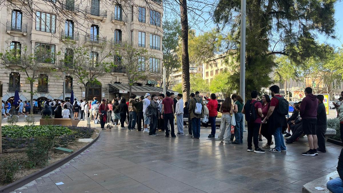 Taco Bell desata la locura en Palma: largas colas por un burrito gratis