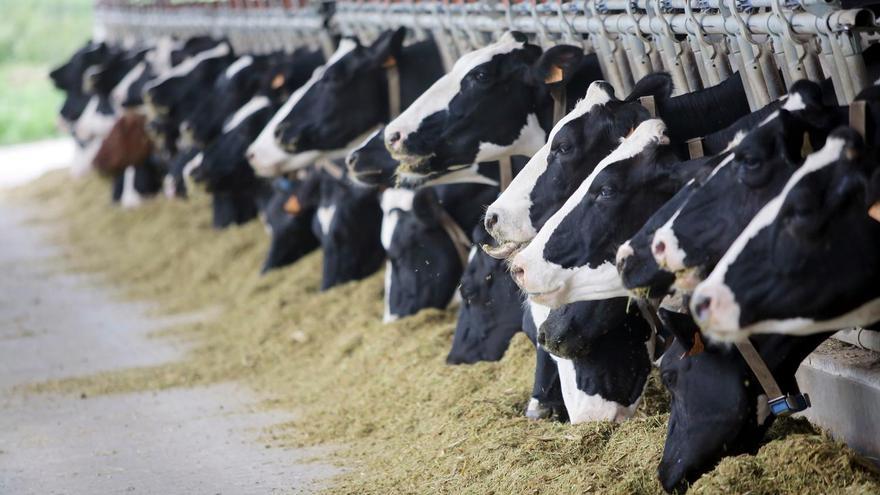 Denuncian que las ayudas de la PAC incentivan los alimentos más contaminantes