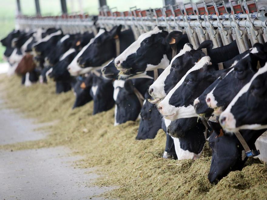 Denuncian que las ayudas de la PAC incentivan los alimentos más contaminantes