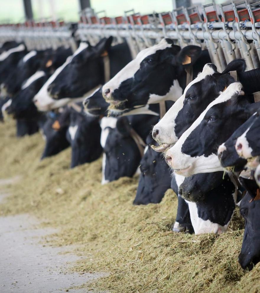 Denuncian que las ayudas de la PAC incentivan los alimentos más contaminantes