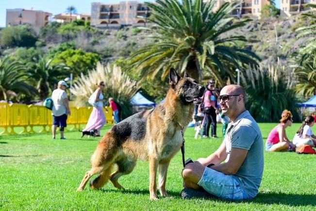 10/12/2016 MASPALOMAS. Feria de Mascotas Maspalomas 2016.Foto: SABRINA CEBALLOS