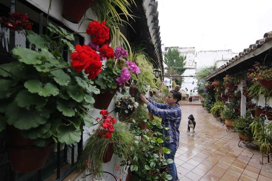 Los patios de Córdoba, San Lorenzo 2