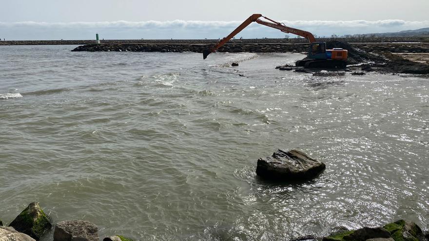 La CHS draga los lodos que taponan la desembocadura del cauce viejo del Segura