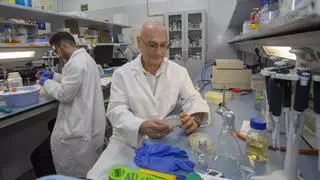 La técnica de edición genética CRISPR permite la curación de una paciente con una anemia rara