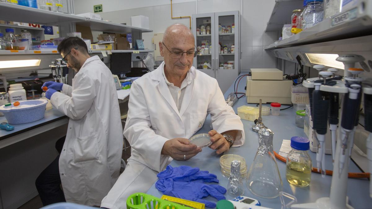 Francis Mojica en su laboratorio de la Universidad de Alicante