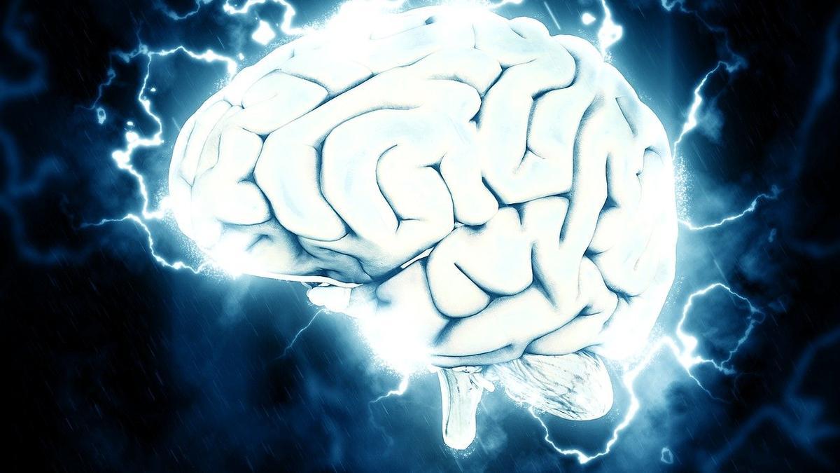 La materia blanca en el cerebro muestra cambios de señales que hasta el momento no se habían identificado.