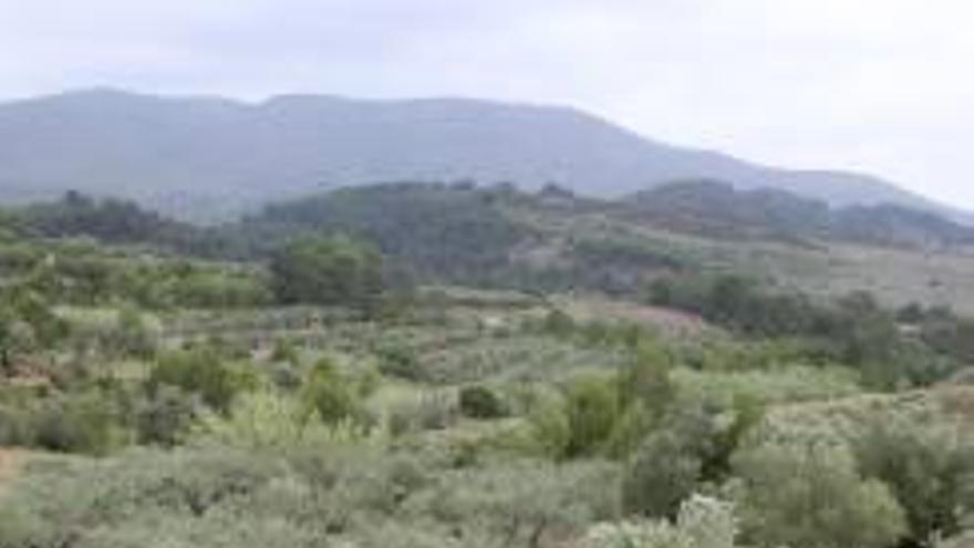 Un responsable de Llanera controla la sociedad que aspira a cobrar 40 millones por el vertedero