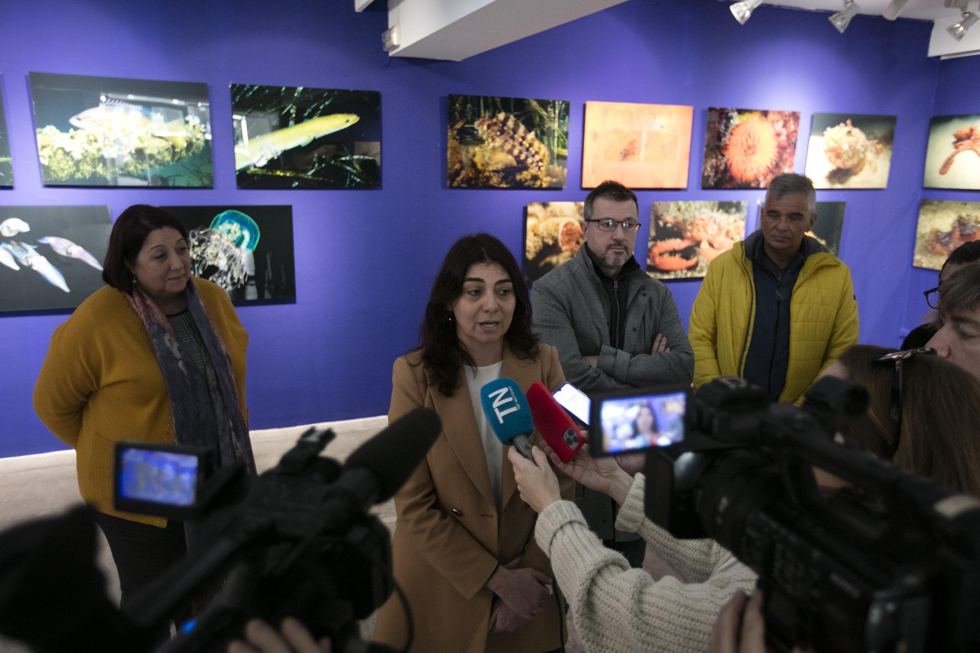 Exposición de fotografía submarina del Port de Sant Miquel en  sa Nostra Sala de Joan Costa