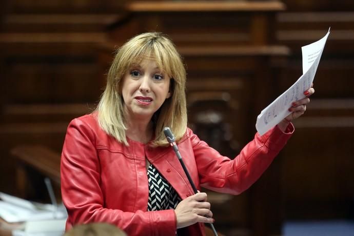 GRAFCAN2115. SANTA CRUZ DE TENERIFE, 26/03/2019.- La consejera de Hacienda del Gobierno de Canarias, Rosa Dávila, durante una de sus intervenciones en el pleno celebrado este martes del Parlamento regional. EFE/ Cristóbal García