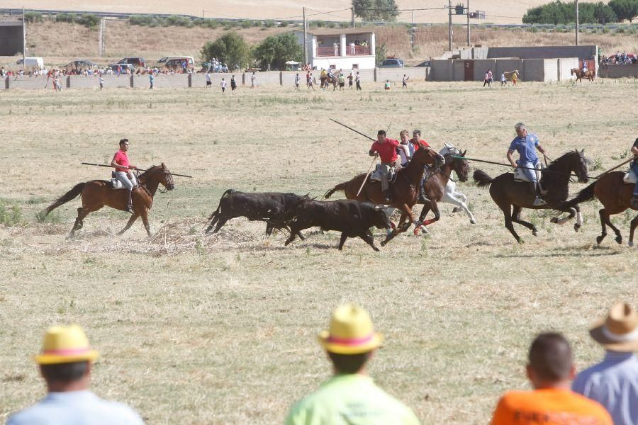 Fiestas en Zamora: Segudos espantes de Fuentesaúco