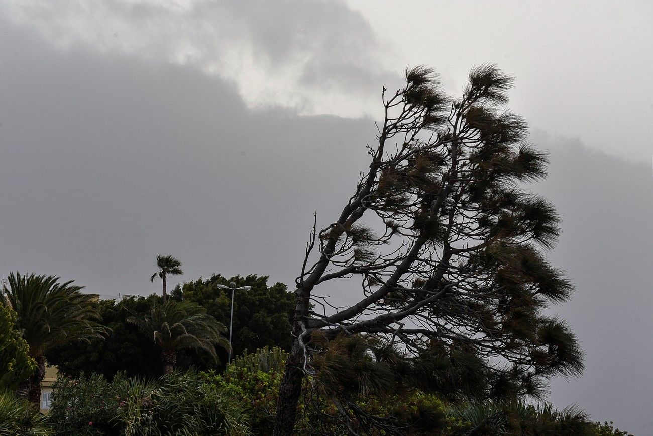 Calima en Las Palmas de Gran Canaria (17/03/2022)