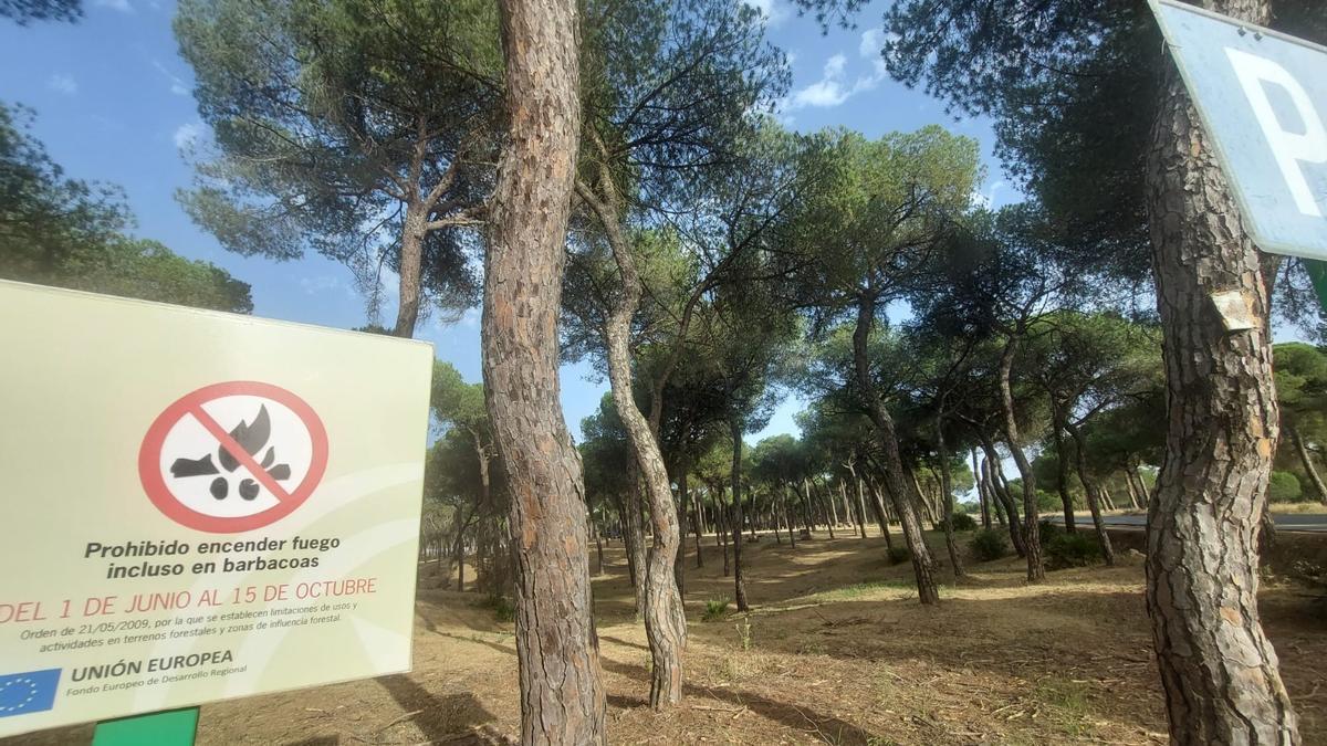 Zona forestal que recuerda la prohibición de hacer fuego