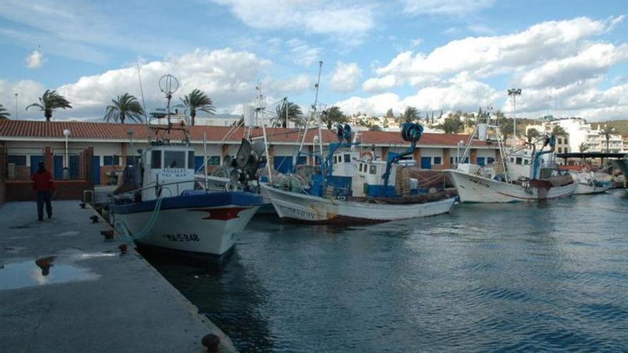 La Junta licita la redacción de la nueva lonja del puerto de Caleta de Vélez