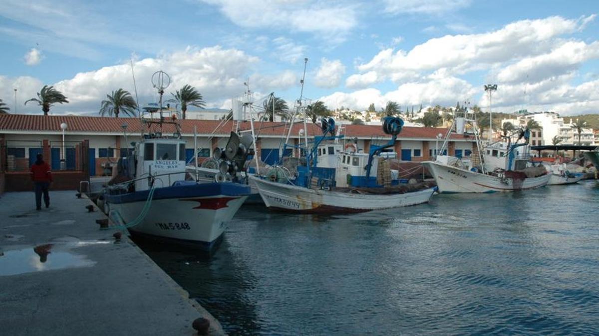 Barcos amarrados en el puerto de Caleta de Vélez.