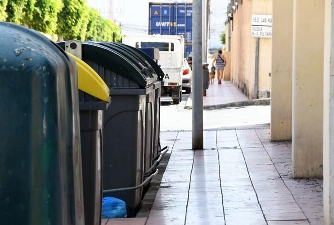 13/03/2019 LAS HUESAS. TELDE. Abandono de cachorros en contenedores de basura en el barrio de Las Huesas.  Fotografa: YAIZA SOCORRO.