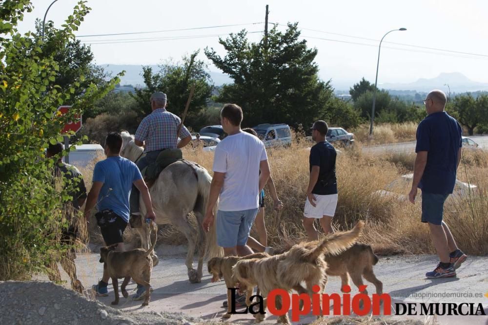 Vereda en Moratalla