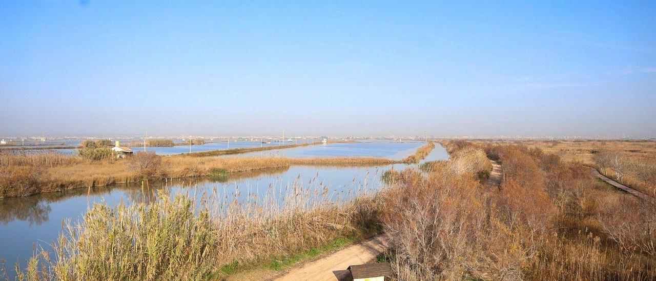 L'Albufera celebra el Día Mundial de los Humedales con varios proyectos pendientes para su regeneración