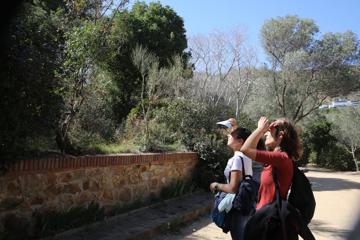 Calzada y Melero identifican mariposas.