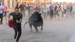 Nàquera acoge la Segunda Trobada de Bous al Carrer