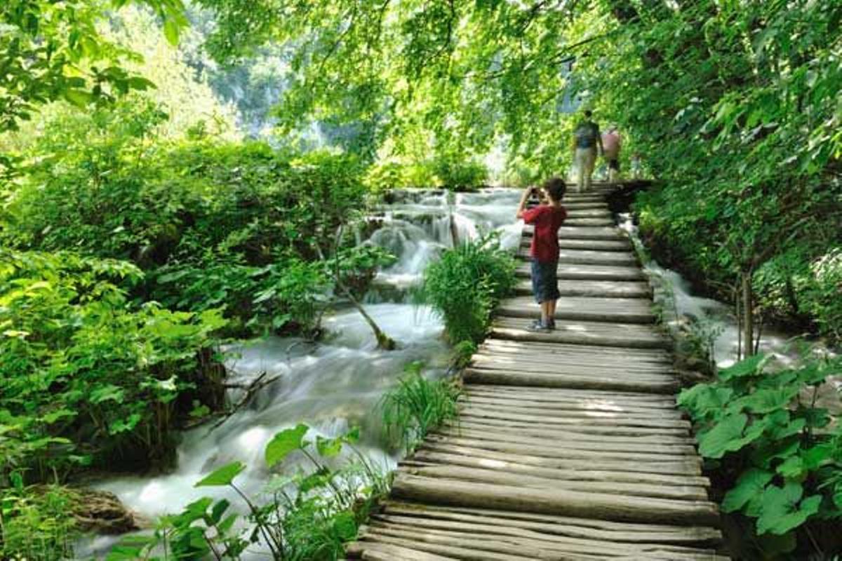 Zona boscosa del Parque Nacional de los Lagos de Plitvice.