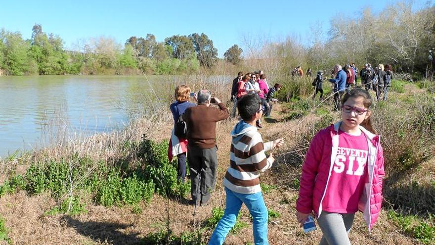 El Mes de la Naranja muestra la unión de los cauces de los ríos Genil y Guadalquivir