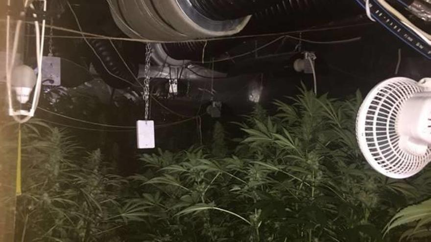 La habitación donde descubren la plantación de marihuana.