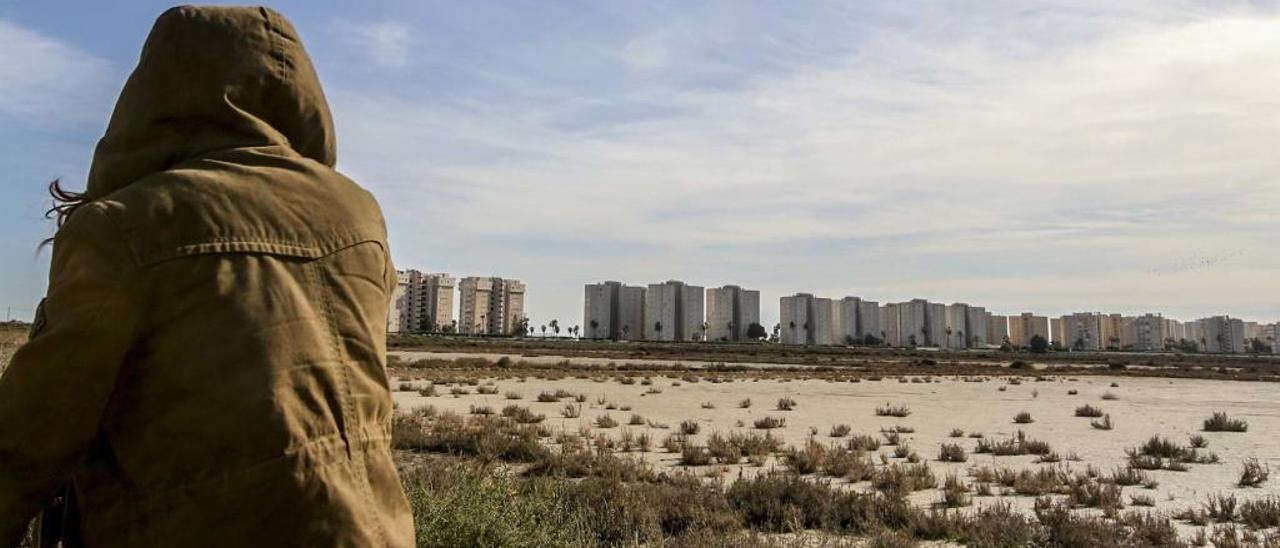 La Generalitat tramita un camping que invade parte del Saladar de Agua Amarga