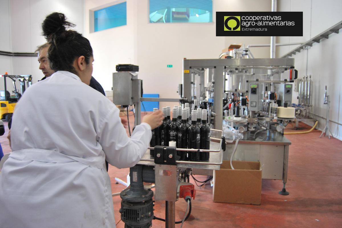 Una trabajadora en la línea de embotellado de una bodega extremeña.