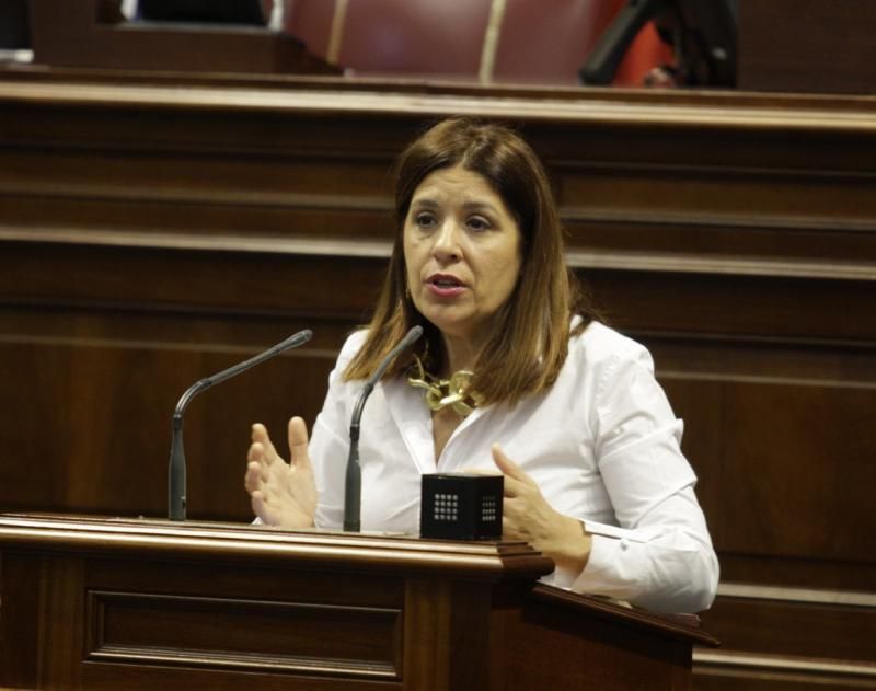 El pleno del Parlamento de Canarias continua con varias comparecencias, entre ellas varias de la consejera de Educación, María José Guerra, para abordar cuestiones como el absentismo y el abandono escolar temprano o el Plan Estratégico de Atención a la Diversidad en la Ley Canaria de Educación  | 12/02/2020 | Fotógrafo: Delia Padrón