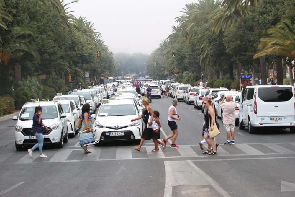 Los taxistas, acampados en el Paseo del Parque en una acción similar a las del Paseo de la Castellana de Madrid o la Gran Vía de Barcelona