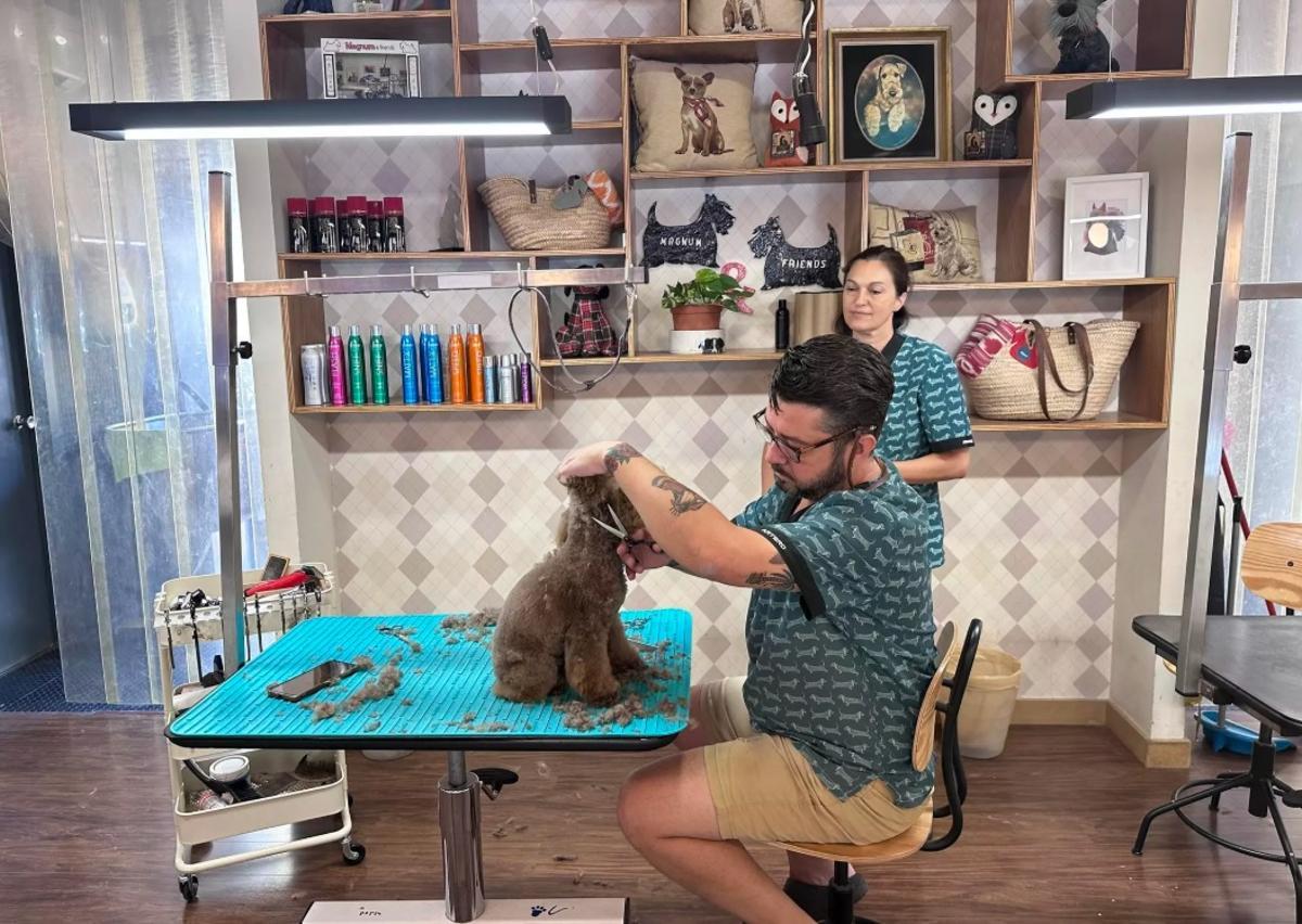 Frontera en su peluquería canina.