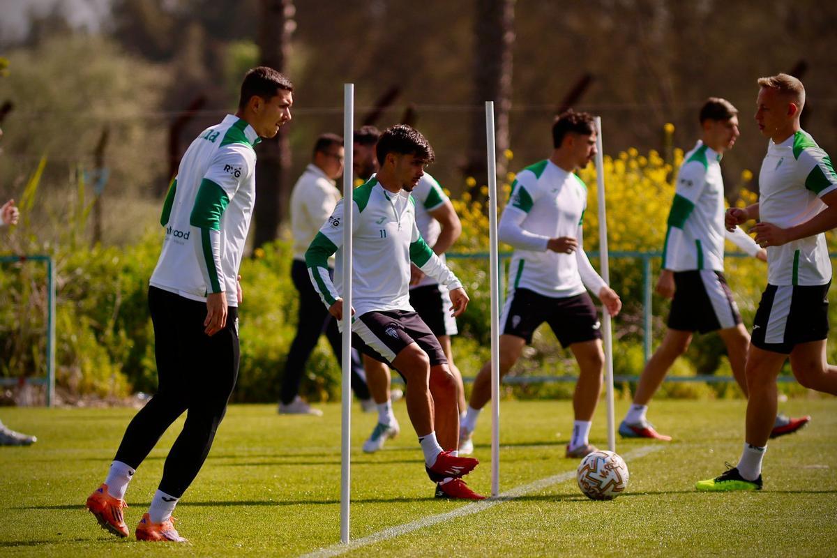 Lance de un entrenamiento del Córdoba CF en la Ciudad Deportiva.