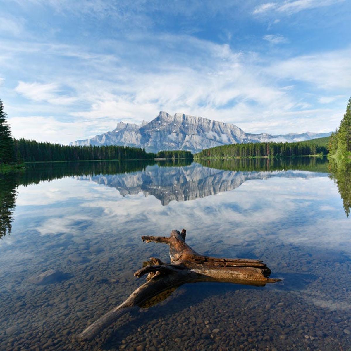 lago Two Jack