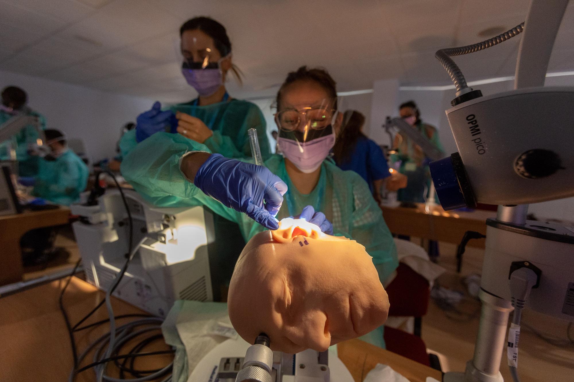 Cabezas realistas para entrenar la cirugía de tumores cerebrales en Alicante