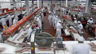 El Grup Cañigueral inverteix 36 milions d'euros l'any 2024 i millora el benefici un 87%