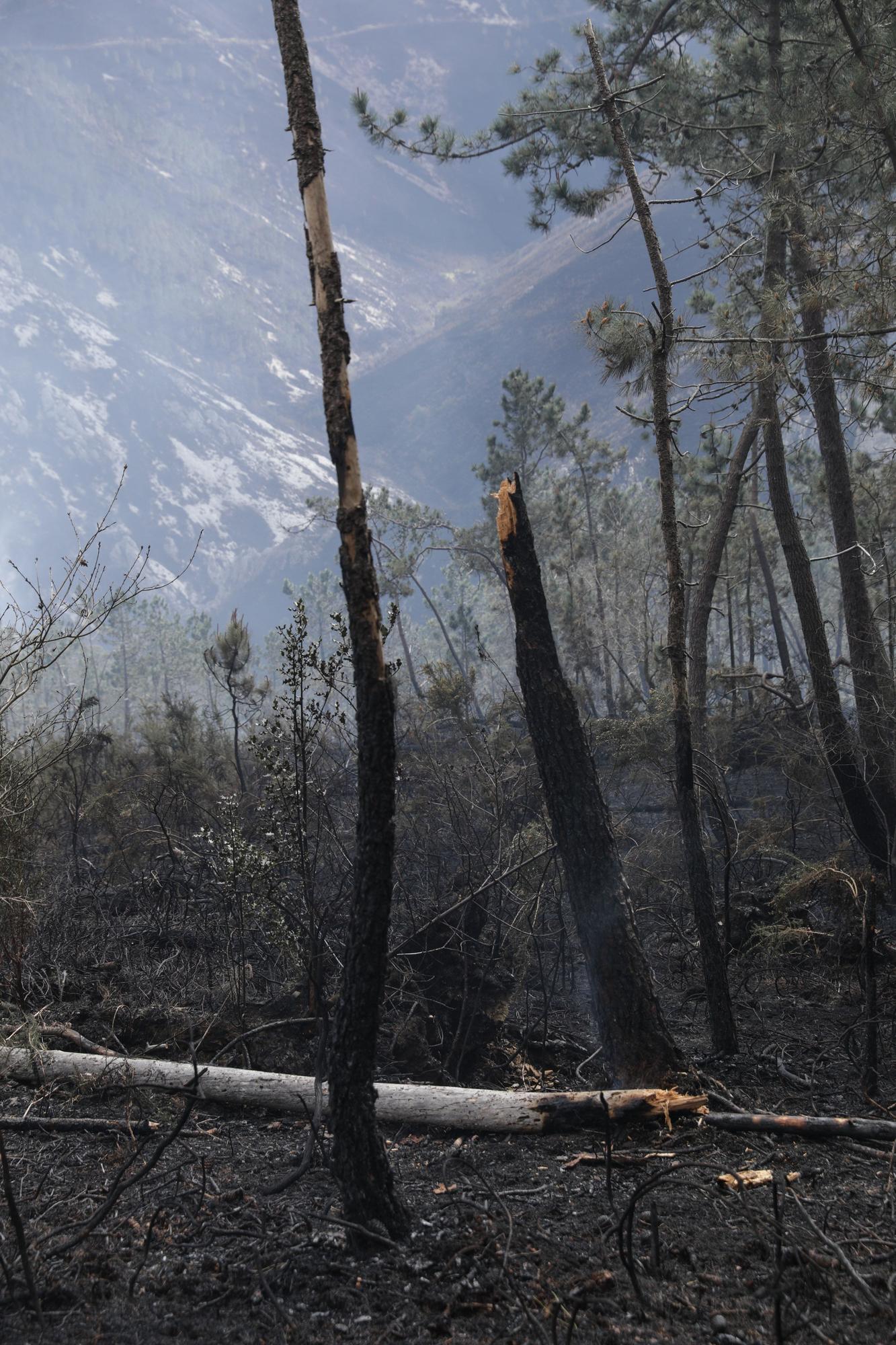 Trabajos de extinción de incendios en Valdés