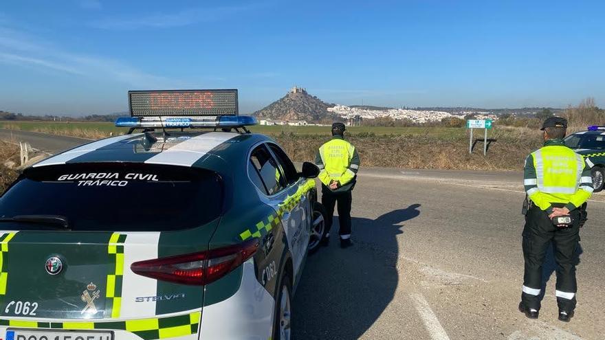 Agentes del subsector de Tráfico de la Guardia Civil