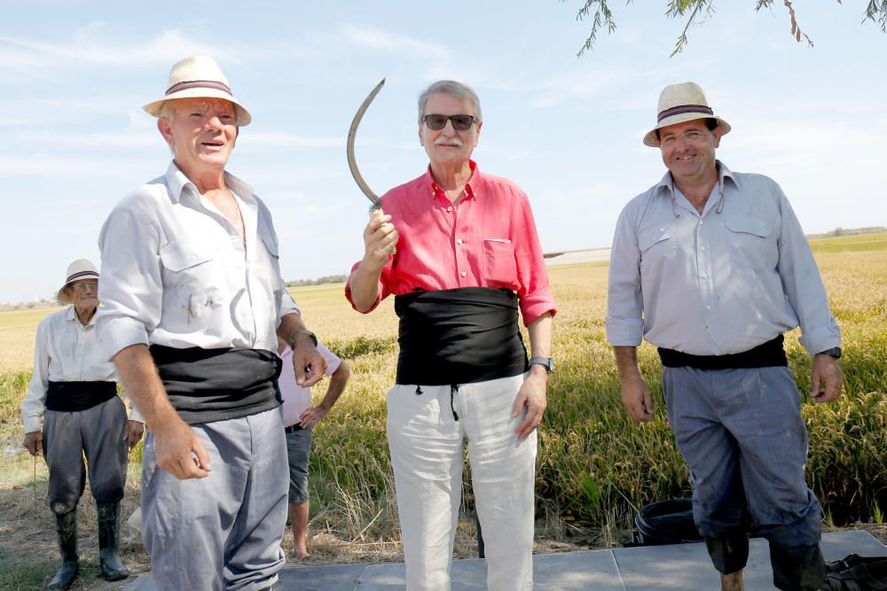 Siega y 'perxa' en l´Albufera