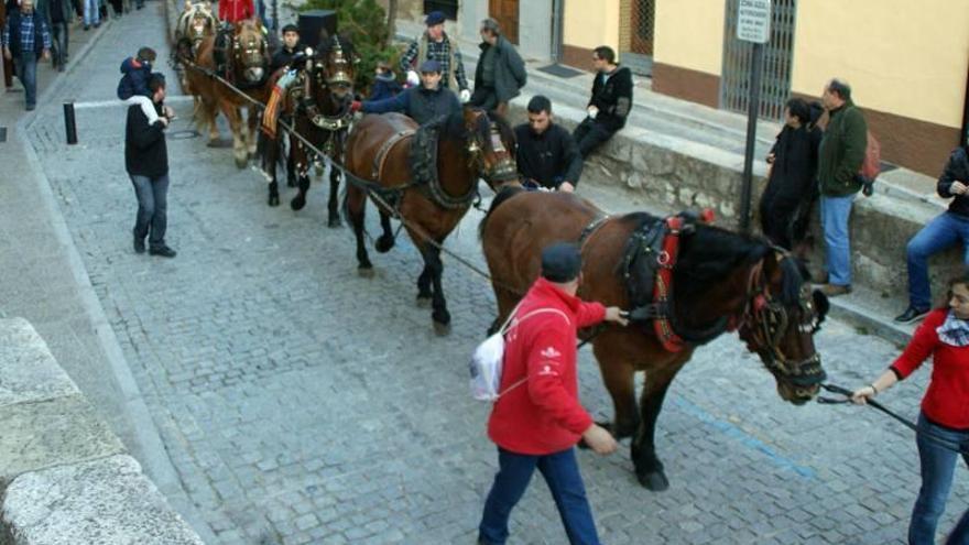 Morella reúne a 20 caballerías en el ‘maio’