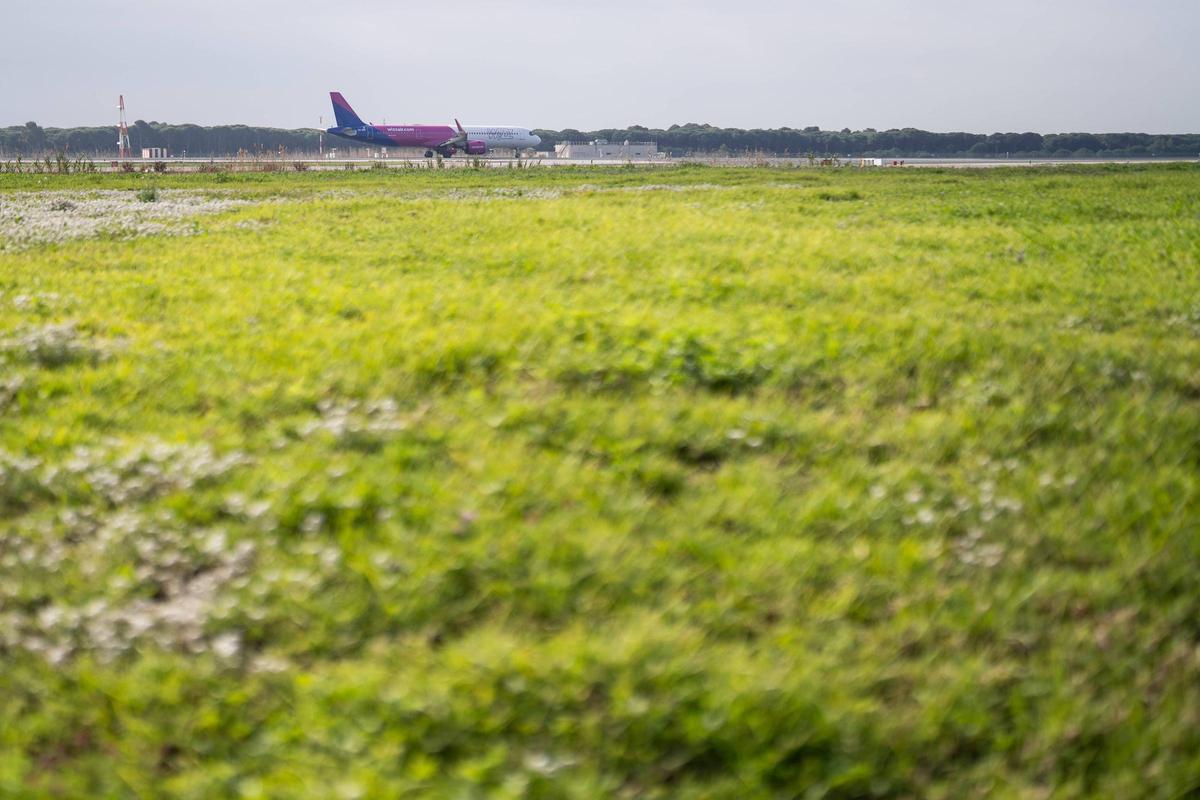 El aeropuerto de Barcelona-El Prat no se espera a la ampliación: renovará el asfalto de la pista del mar, construirá nuevos carriles y modernizará instalaciones.