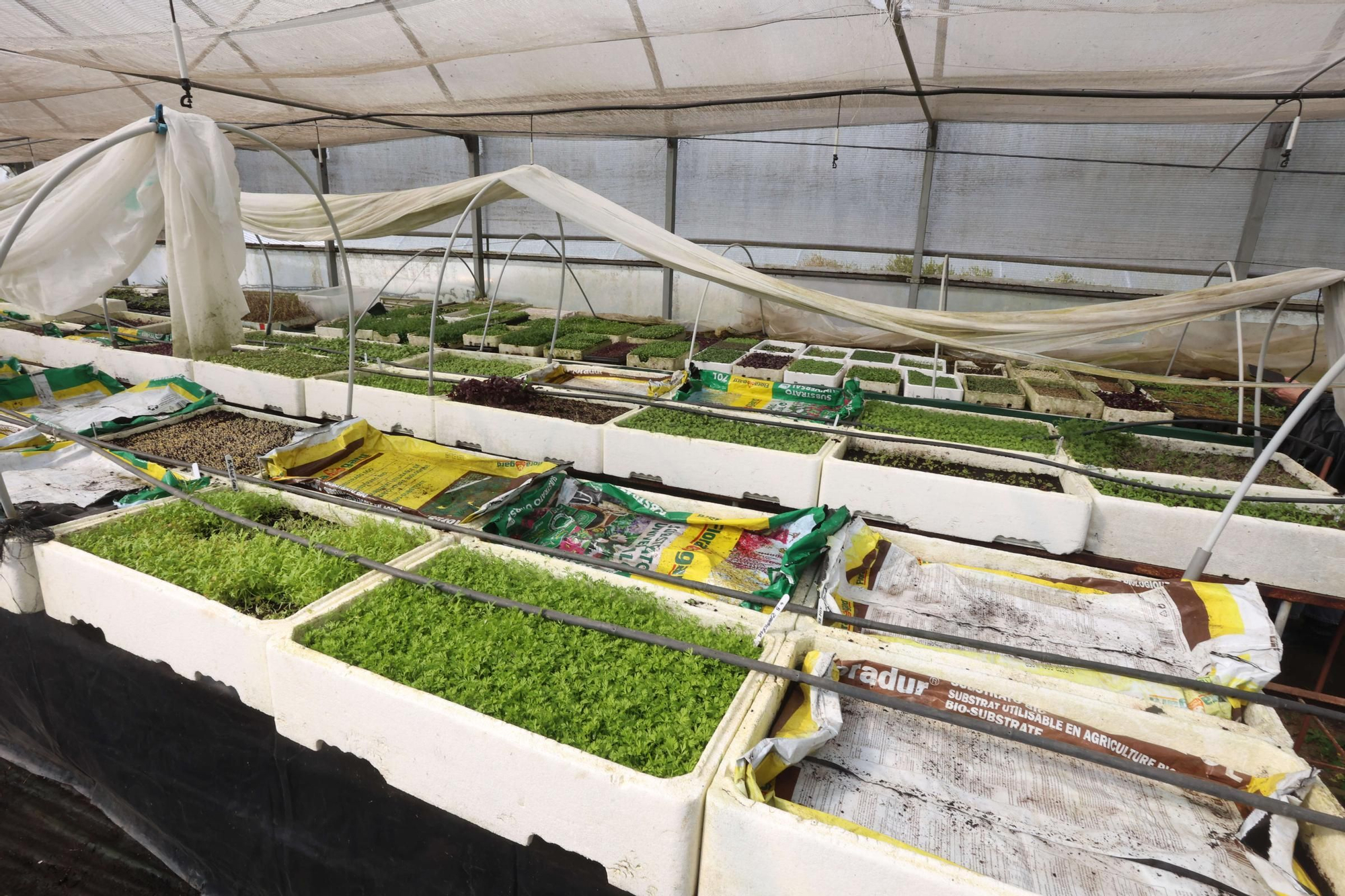 La Reserva da Biosfera Mariñas Coruñesas e Terras do Mandeo presenta en Paderne la feria Biocultura A Coruña 2025