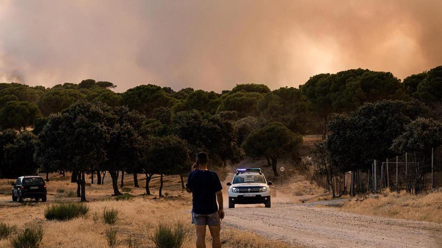 Última hora de los incendios en España, en directo | Desalojadas 11.500 personas por los graves incendios que afectan a Madrid y Ávila