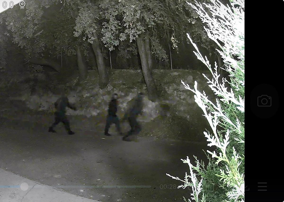 Otra de las imágenes captadas por las cámaras de seguridad en Bixquert.