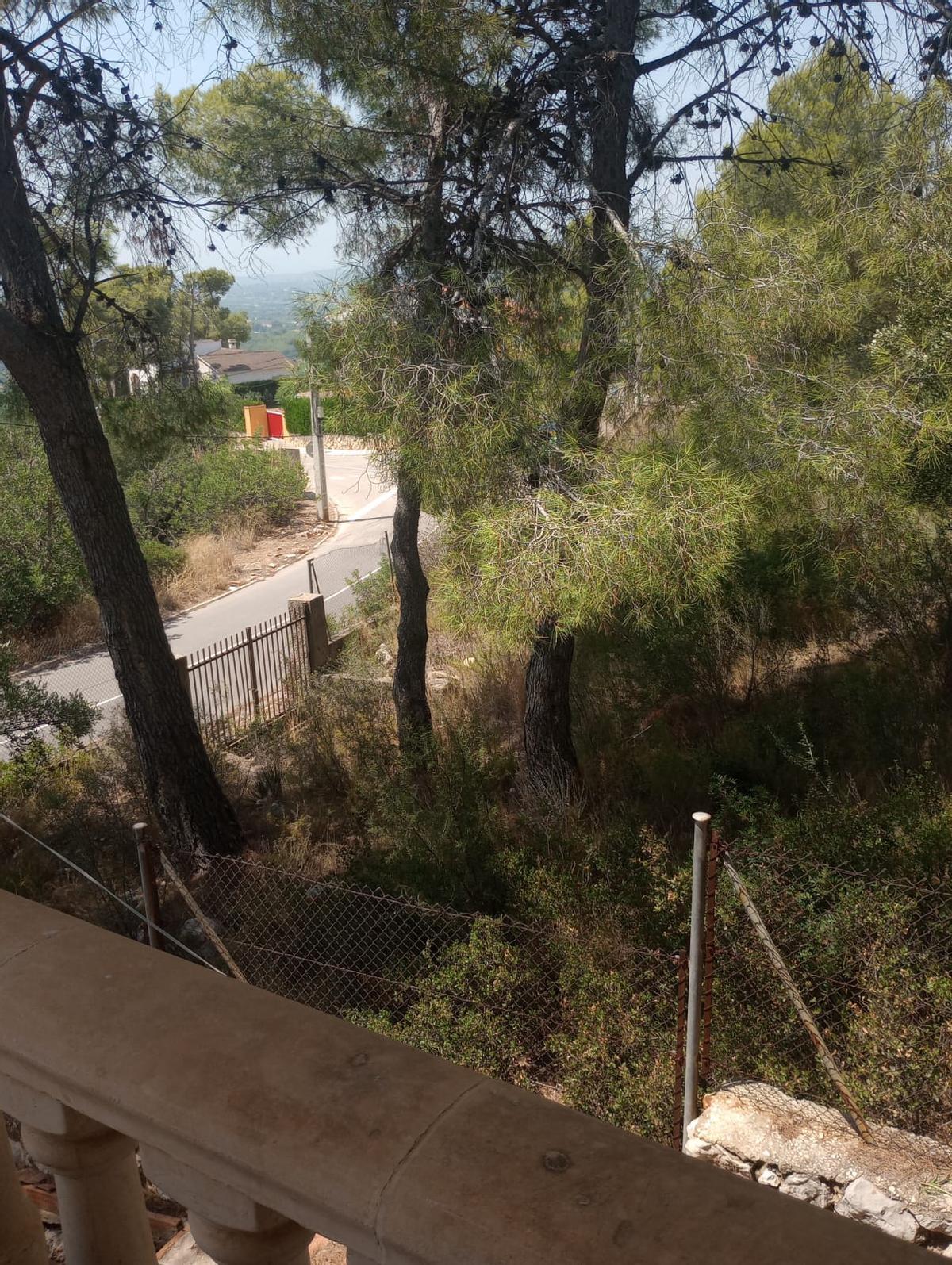 El estado de la parcela situada junto a la vivienda de los denunciantes en Cumbres de Calicanto de Torrent.
