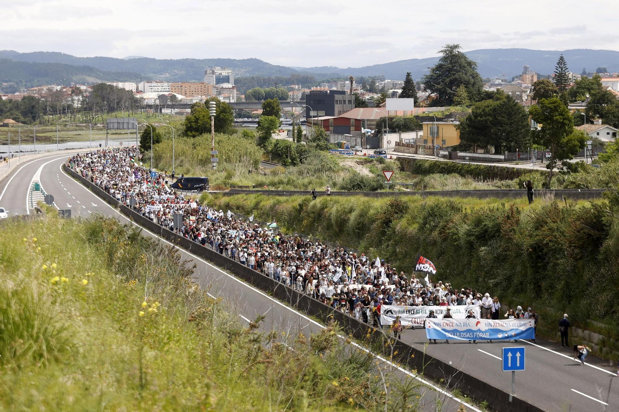 Miles de gallegos marchan de Pontevedra hasta Lourizán en protesta por las celulosas de Ence y Altri